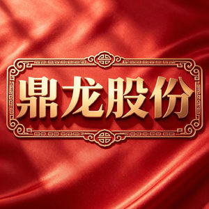 鼎龙股份：抛光垫国产龙头，港股上市引发分歧