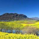 爱听播客的喜悦