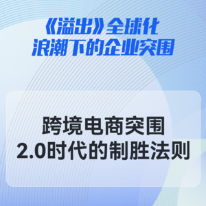 跨境电商突围:2.0时代的制胜法则