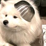 只是吃个西瓜