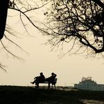 Carol：“地球村”不再，我们如何与这个世界相处？