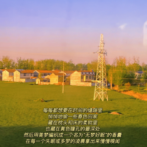 人好猫也好，五一怎么过更好？宅家读书听音乐，静享时光也挺好