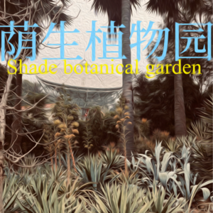 南国街街访part7：还是音谈