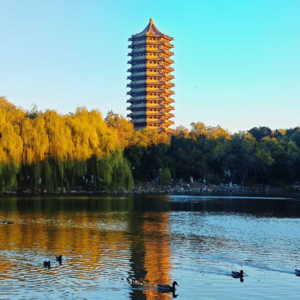 EP14. 在北大和小学同学聊“玩儿坟”