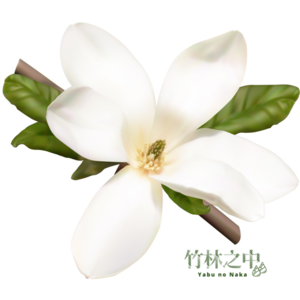 暗香1915