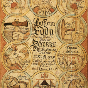 003期 维京人头上没有角——我们的冷门专业学习经历