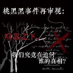 桃黑黑事件再审视：喧嚣之下，我们究竟在追问谁的真相？