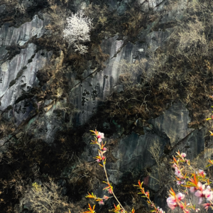 EP05 决定轻快地聊聊过春天