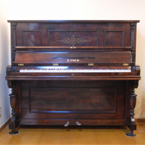 E02 | 在界线中长大：一个横滨华侨四代的故事（全日文版）