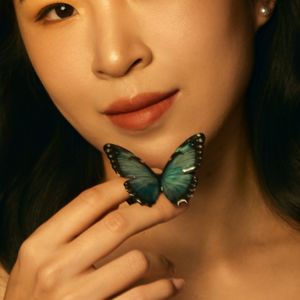 安左吴