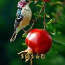 随伊去