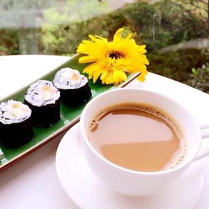 木易洋烊的个人播客