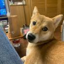 Chloooe