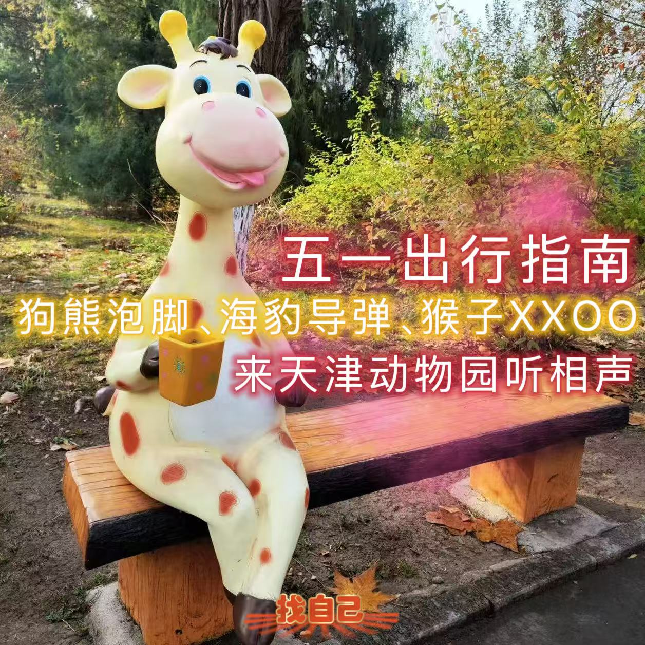 五一出行指南：狗熊泡脚、海豹导弹、猴子翻跟头，来天津动物园听相声 episode artwork