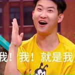 不重要的据数条