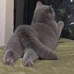 sooolucky