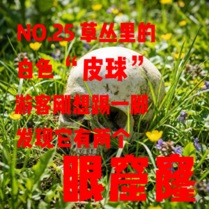 NO.25草丛里的白色“皮球”：游客刚想踢一脚，发现它有两个眼窟窿