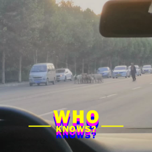 035.乐子人大赏2|不出腊月真不能剪头!上班还赔钱啊?撞同款老公了?