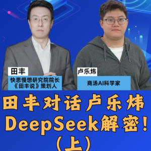 田丰对话卢乐炜：DeepSeek解密！（上）