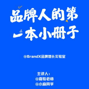 第十一课:BrandX品牌认知飞轮-如何进行品牌洞察
