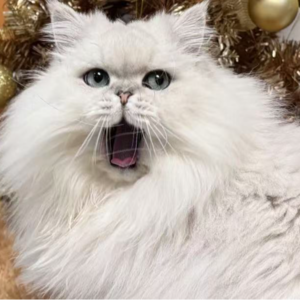 爱酱：我能接受各种各样的可能性，也能接受别人改变