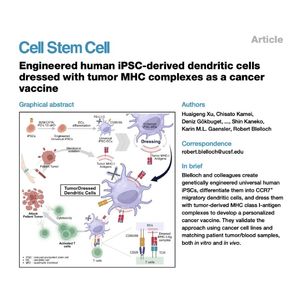 1650-Universal TumorDressed Dendritic Cells as Vaccine
