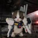 机甲小猫战士