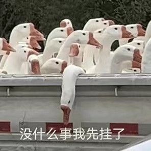 一团在乱麻