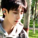 WXL_hokd