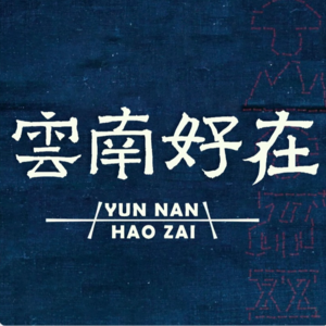 18 省一半油费？云南电车自驾真香攻略揭秘
