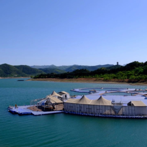 No.168-拍风光想要大景深，对焦到底对在哪？