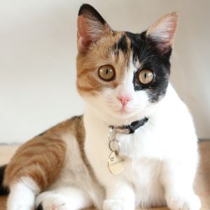 归途有风的老冯