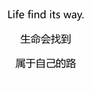 100位妈妈的故事|第七期-尊重生命的本质