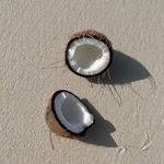 CocOnuTovo