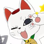 蛙蛙小鸟