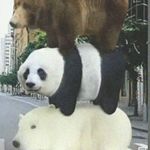 崧耀