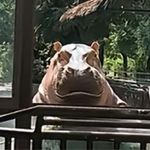 你不要知道我是谁