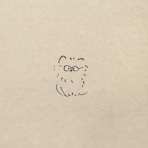 文猫cat