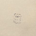 文猫cat