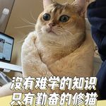 嗷嗷嗷嗷嗷嗷嗷_