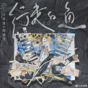 Vol.08 | 《行走的鱼》:徐佳莹、汪苏泷、那英的三种演绎版本,你更喜欢哪个?