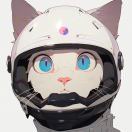 小钢炮_stHA