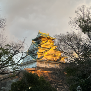 日本真好，下次还来，吗？