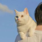 有志少女多读书