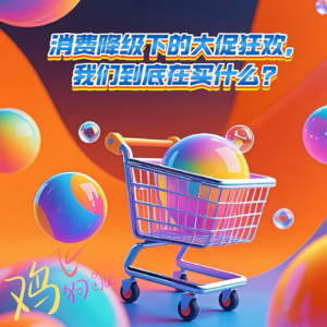 Vol.6 消费降级下的大促狂欢，我们到底在买什么？