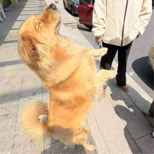 Vol.14 meaningless work