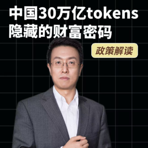 第310集 中国30万亿tokens，隐藏的财富密码