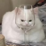 阿奕