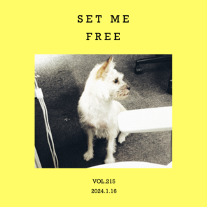 vol.215：选一个晴天，放自己一马！