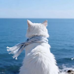 podcaster-avatar